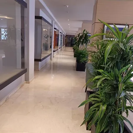 Primera Línea De Playa Y Vista Al Mar En Pyr Estudio Apartamento